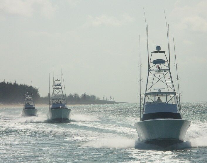 Click to See Next Image